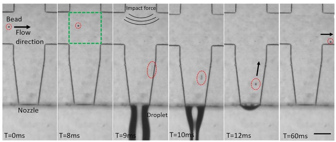 Application of High Speed Camera in Single Cell Separation Technology