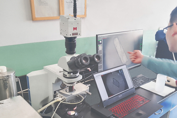Optische Messgeräte in der Biomedizin ischen