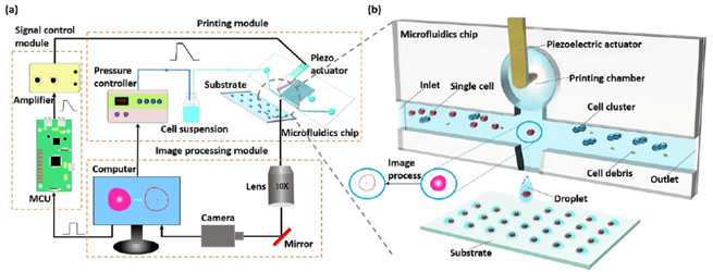 high speed cameras in single cell separation technology 2