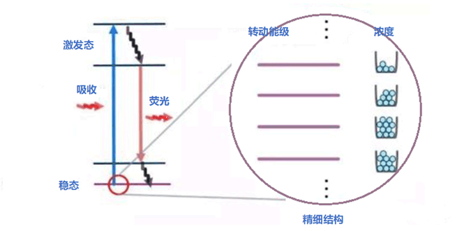 measuring ch2o concentration in combustion flames using plif method 1