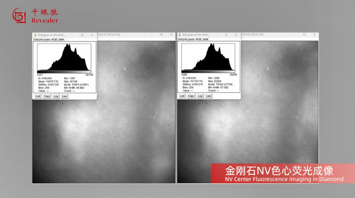 conference-news-revealer-scmos-scientific-camera-debuts-at-the-15th-national-conference-on-quantum-imaging4.jpg