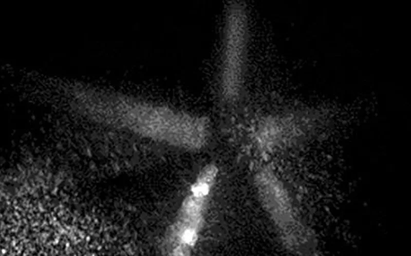 Cold Ion Cloud Imaging-und Mess experimente mit der Revealer-sCMOS-Kamera