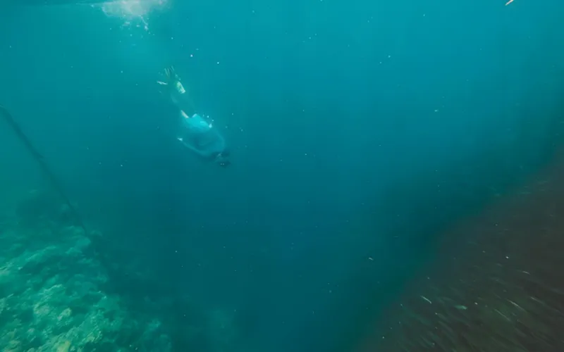 Revolution ie rende Marine Backscatter-Direkt messung mit Kleinwinkel-Lasers treuung mit hoch empfindlichen sCMOS-Kameras