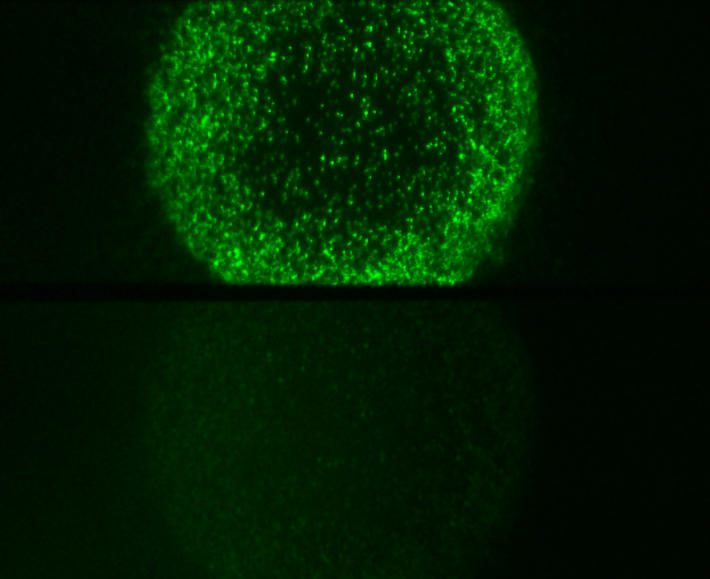 figure-2.jpg