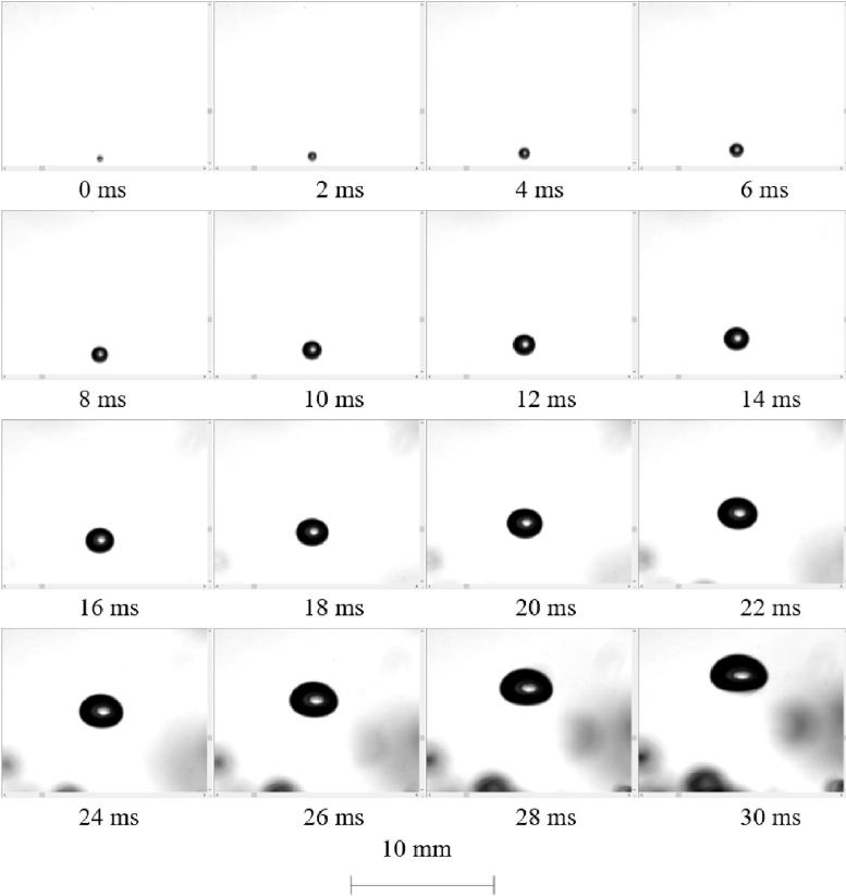bubble-growth-dynamics.jpg bubble-growth-dynamics.jpg