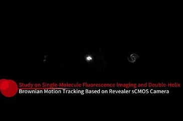 Studie zur Single-Molecule-Fluoreszenz-Bildgebung und Doppelhelix-Brownsche Bewegungs verfolgung basierend auf der Revealer-sCMOS-Kamera