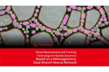 Visuelle Mess-und Tracking-Technologie für Bubble Dynamics basierend auf einem heterogenen Dual-Branch-neuronalen Netzwerk