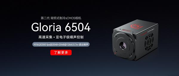 revealer-second-generation-bsi-scmos-camera-gloria-6504.jpg