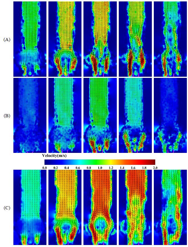 figure-velocity-distribution-nephogram-measured-by-piv-system-downstream-of-the-aortic-valve-under-healthy-heart-failure-and-exercise-conditions.jpg figure-velocity-distribution-nephogram-measured-by-piv-system-downstream-of-the-aortic-valve-under-healthy-heart-failure-and-exercise-conditions.jpg