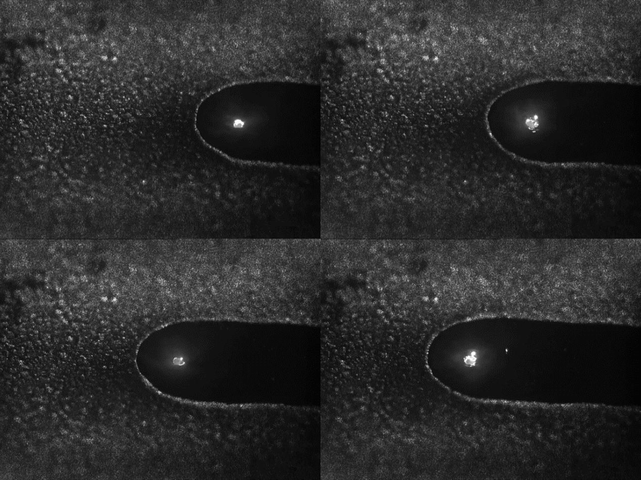 figure-1-molten-pool-evolution-of-stainless-steel-substrate-at-0.4-ms-100.4-ms-200.4-ms-and-300.4-ms.jpg