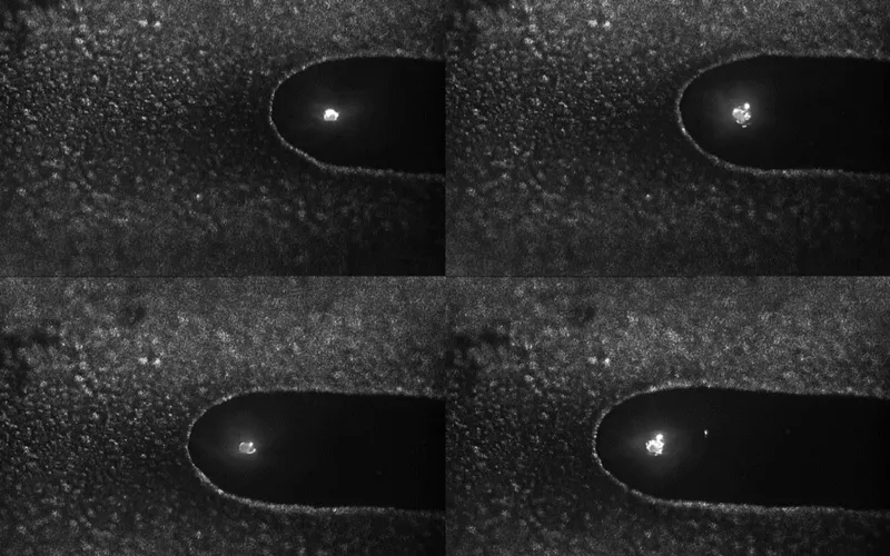 Hochgeschwindigkeits-Bildgebung beobachtung und-mechanismus Vergleichende Untersuchung des dynamischen Verhaltens von geschmolzenem Pool beim Laser-Arc-Hybrid-Schweißen