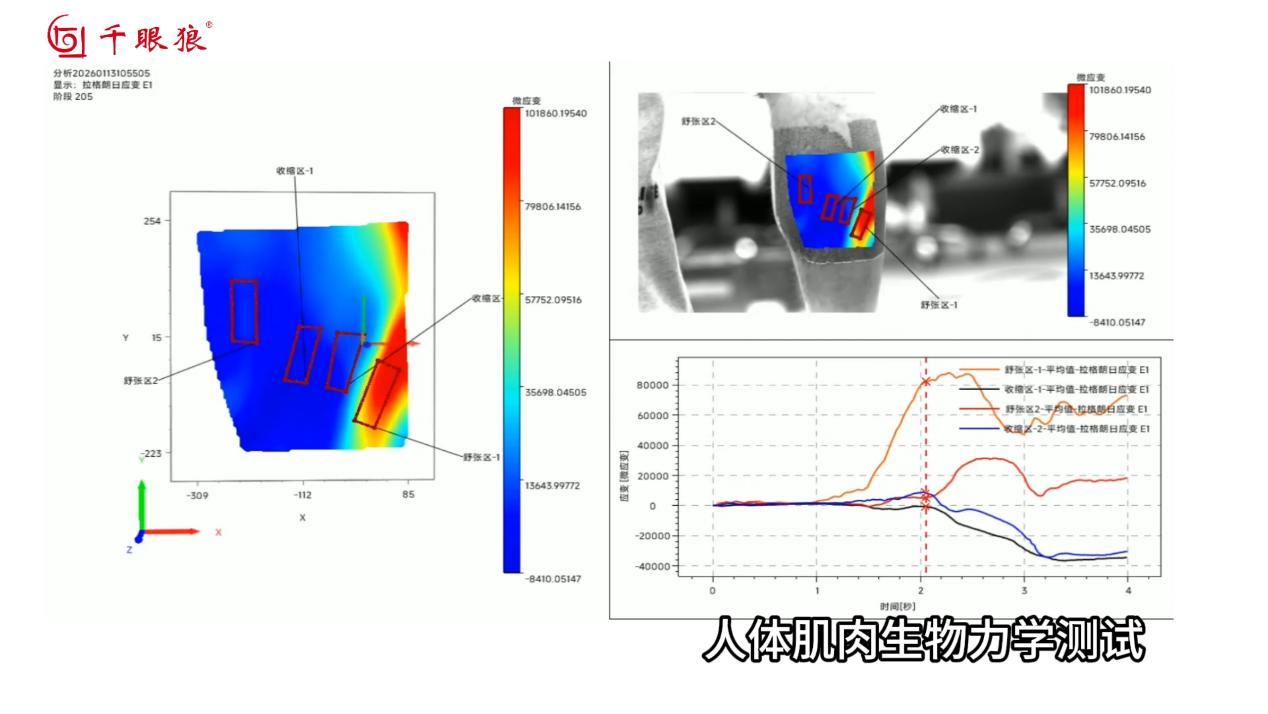 application-of-digital-image-correlation-dic-in-soft-matter-experimental-mechanics-fig-2.jpg