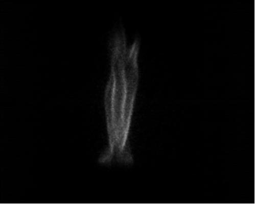 figure-2-methane-ammonia-combustion-at-228-nm-100-fps-100mm-f2-0-aperture-with-image-intensifier.jpg