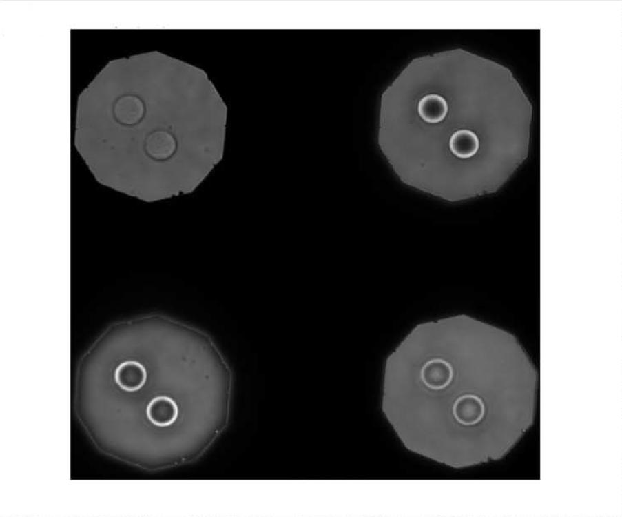 figure-3-statistical-results-of-microsphere-interference-signals-and-phase-reconstruction-consistency-1.jpg