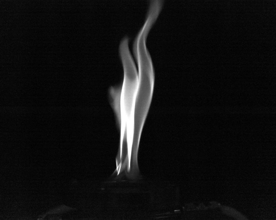 figure-6-methane-ammonia-combustion-at-632-nm-1000-fps-maximum-exposure-100-mm-f2-0-aperture-without-intensifier.jpg